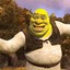 The Only Shrek