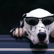 ZeZinho Cachorro voador
