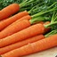 24carrot