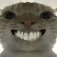 曼波爱上哈基米