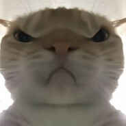 假如能当三天老蒯