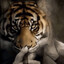 OfficeLover360