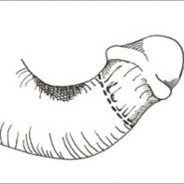 猛踢瘸子那条好腿