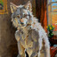 szolwolf