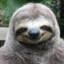 BensonTheSloth