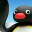 Mr_Pingu