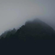 落花失意伴雨眠