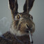 Jack__43