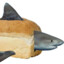 Breark (Bread and Shark)