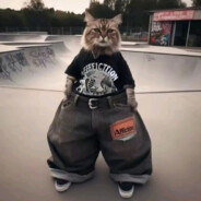 kurvi belo krasno selo