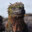 Mr. Salamander
