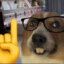 franxd45