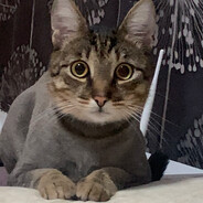 M.I - steam id 76561198999420183