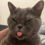 𝓗𝓲𝓰𝓱𝓮𝓼𝓽