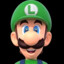 The real Luigi