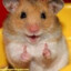 joinha do hamster