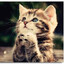 Pussssssssssy