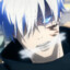 shoyo
