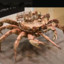 Crab_Tank#2708