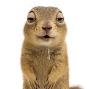 (БЛЭТ) тимоха про