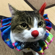 MISTER ПОЗИТИВ