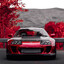 Supra-_