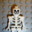 LEGO® Skeleton™'s Avatar