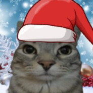 Merry Koshka