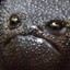РЕЗНЯ НАЧИНАЕТСЯ's avatar