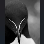 Juma🐧 avatar