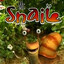 Mr Snail