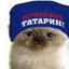 Татарин