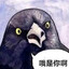 秘书于波