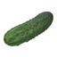 HolyCucumber[1000-7]