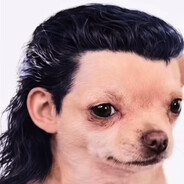 Rosangelo avatar