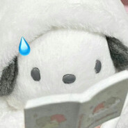 黄焖鸡米饭赵姐