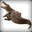 NotACrocodile
