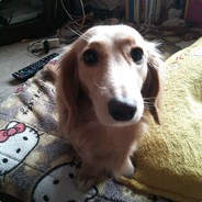 noa_