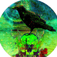 maximrobin40