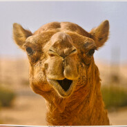 L'homme a la peu musicale