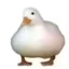 d1ck