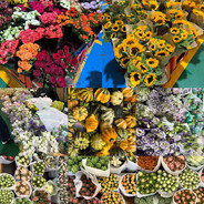 靡不有初，鮮克有終！