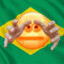 Brazilian Authority