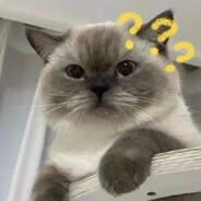 犯罪嫌疑人白某某