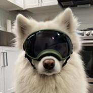 做梦都想发大财