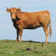 分手在起风这个季节