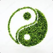 Lingi avatar