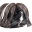 Peruvian long haired guinea pig