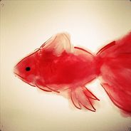 导致亲吻的可能性