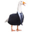 BusinessGoose